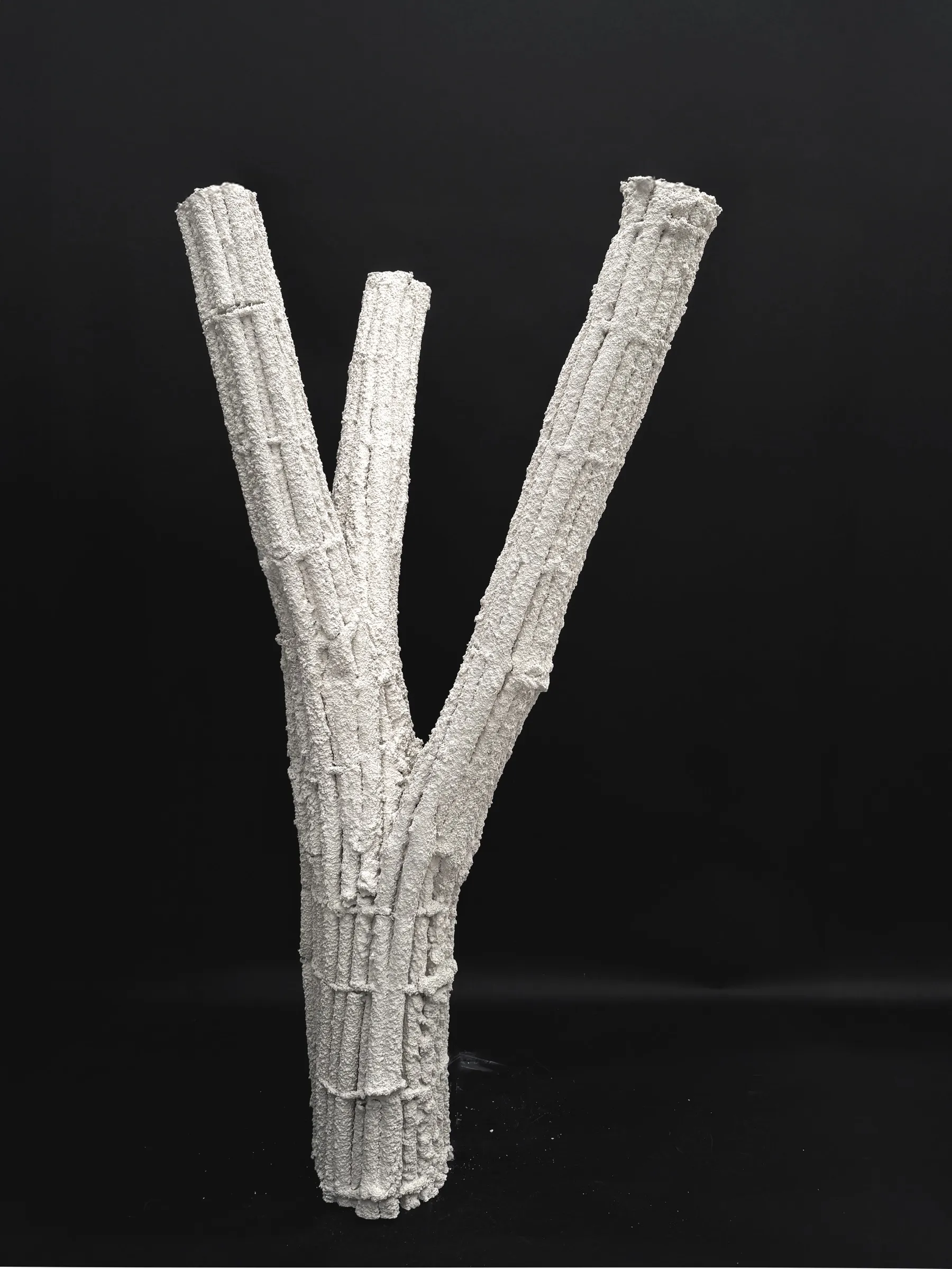 Detail of the column base showing the material grain.